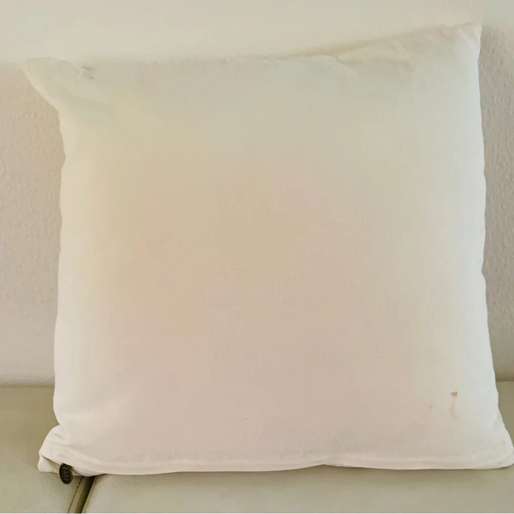 Pier one pillow case